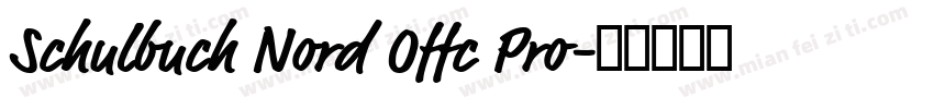 Schulbuch Nord Offc Pro字体转换